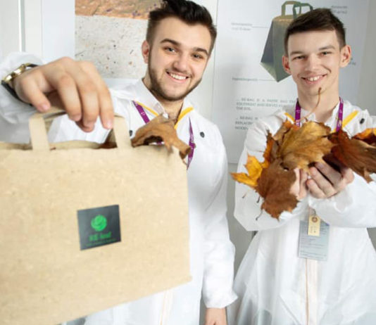Estudante ucraniano lança iniciativa para transformar folhas de árvores caídas em papel