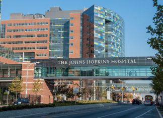 Estudo da Universidade Johns Hopkins mostra que o total de mortes em 2020 não é diferente dos anos anteriores