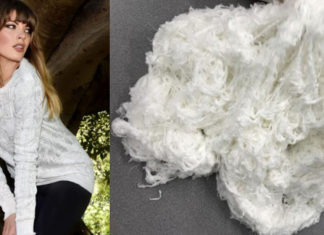 Nanollose e Birla registram patente conjunta para fabricação de liocel de celulose bacteriana