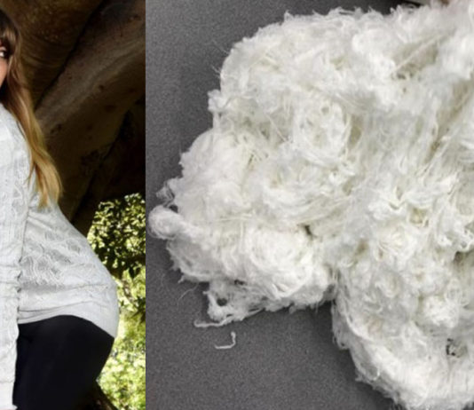 Nanollose e Birla registram patente conjunta para fabricação de liocel de celulose bacteriana