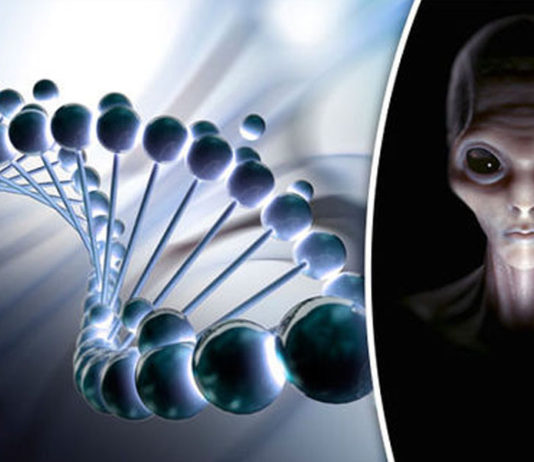 Nosso DNA foi projetado por alienígenas, afirmaram cientistas que passaram 13 anos estudando o genoma humano