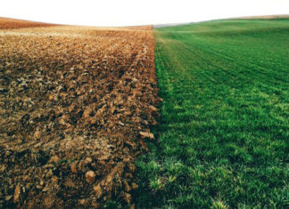 990 ™ – Uma nova geração de tecidos de poliéster biodegradáveis