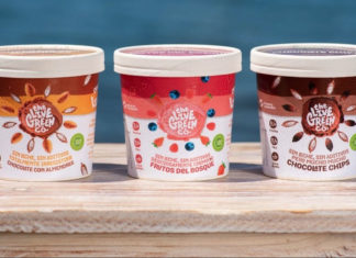 Startup chilena utiliza Inteligência Artificial para desenvolver sorvetes à base de plantas