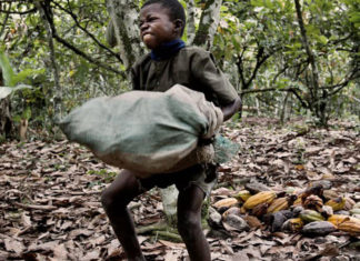 Mars, Nestlé e Hershey são processadas por lucrar com trabalho escravo infantil