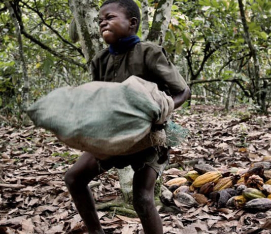 Mars, Nestlé e Hershey são processadas por lucrar com trabalho escravo infantil