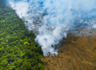 Luiz Carlos Molion: O alarmismo sobre a Amazônia não tem base científica