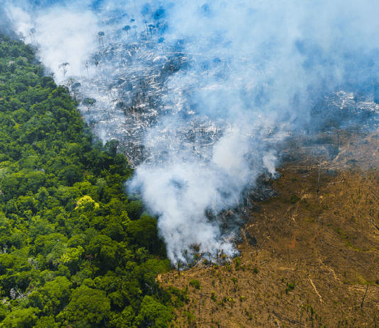 Luiz Carlos Molion: O alarmismo sobre a Amazônia não tem base científica