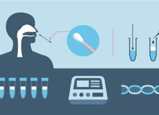 Tribunal austríaco julga teste PCR não adequado para diagnóstico COVID-19 e que Lockdown não têm base legal