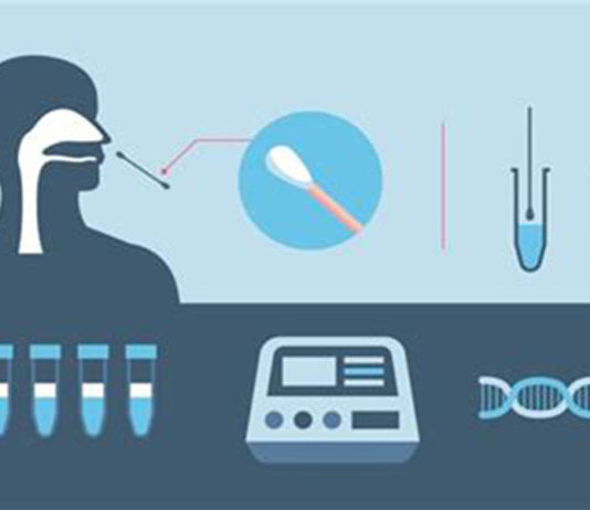 Tribunal austríaco julga teste PCR não adequado para diagnóstico COVID-19 e que Lockdown não têm base legal