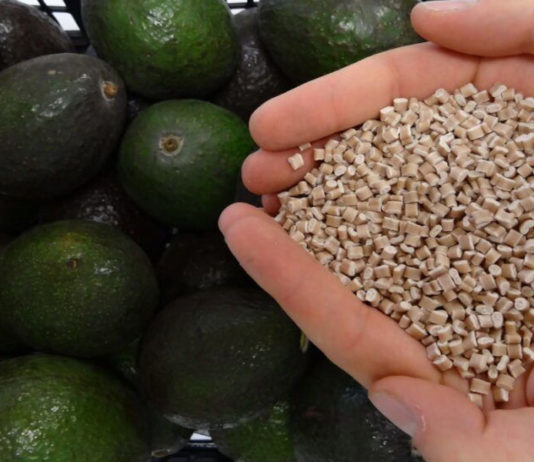 Como o caroço do abacate é transformado em bioplástico?