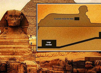 Entradas secretas na Grande Esfinge de Gizé levam a uma antiga cidade subterrânea?