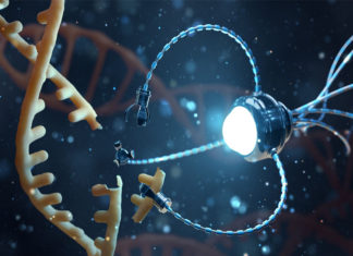 Vacina com proteína “Magneto” pode controlar remotamente o cérebro e o comportamento?