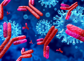 Estudo espanhol conclui que os curados do Covid geram anticorpos para o resto de suas vidas