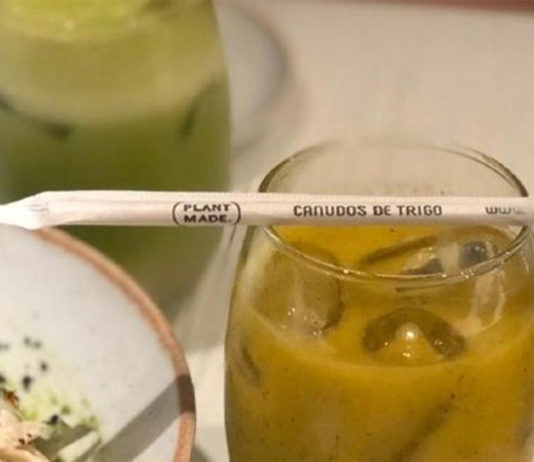 Empresa do Paraná fabrica canudos biodegradáveis à base de trigo