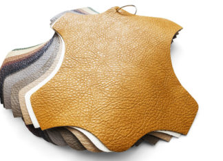 Cientistas produzem folhas contínuas de biomaterial de cogumelo que imita couro