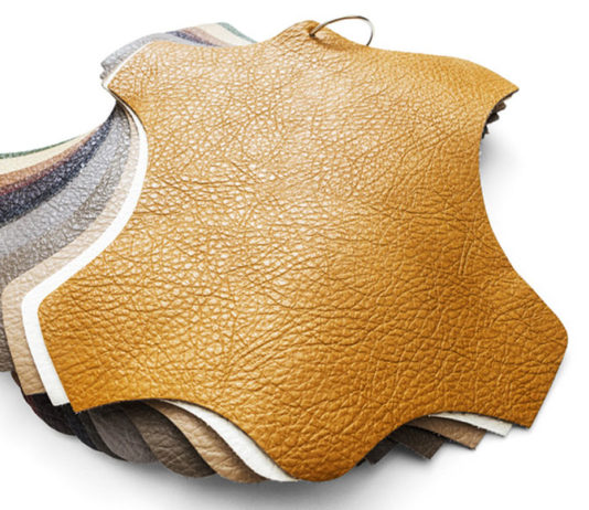 Cientistas produzem folhas contínuas de biomaterial de cogumelo que imita couro