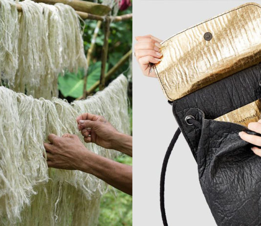 Dole Sunshine Company faz parceria com Piñatex para fornecer fibras de abacaxi