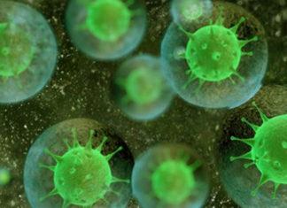 Estudo descobre que pacientes recuperados de Covid-19 tem mais anticorpos do que pacientes vacinados