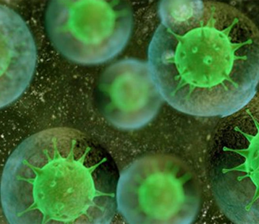 Estudo descobre que pacientes recuperados de Covid-19 tem mais anticorpos do que pacientes vacinados