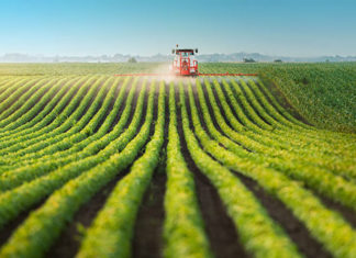 Canal NTD desvenda plano expansionista da China para comprar o Brasil