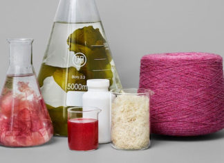 Algaeing produz corantes e fibra têxtil utilizando algas