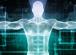 Eletricidade da vida – Curando os circuitos elétricos do corpo