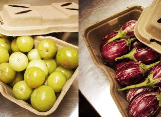 Bio-lutions transforma resíduos agrícolas em embalagens biodegradáveis