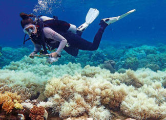 Fundador do Greenpeace denuncia fake news da mídia sobre “mudanças climáticas”