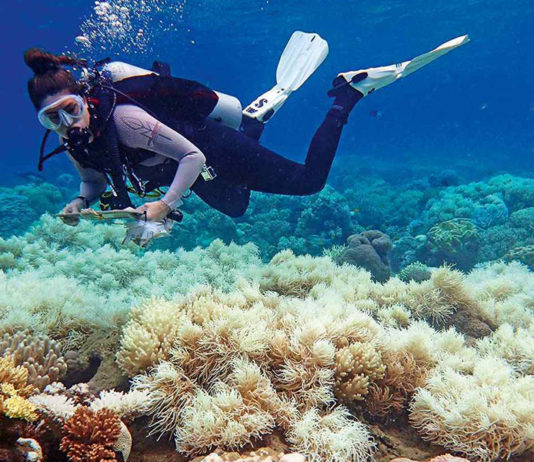 Fundador do Greenpeace denuncia fake news da mídia sobre “mudanças climáticas”