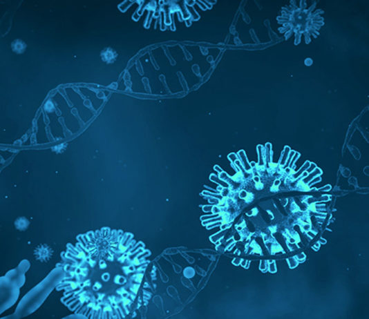 O que está causando doenças em todo o mundo se o SARS-CoV-2 nunca foi isolado e purificado?