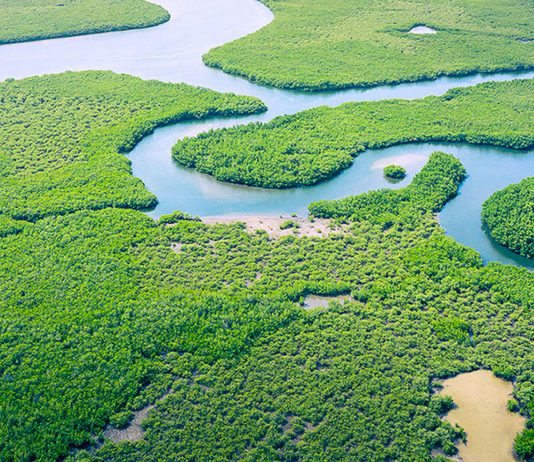 De de 18 a 20 de outubro, Belém sediará o World BioEconomy Forum 2021