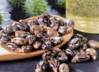 IFG lança fibra 100% biológica Rilsan PA11, derivada de óleo de mamona