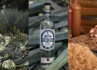 Biosolutions transforma os resíduos da produção de tequila em bioplástico