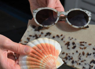 Empresários franceses vendem óculos feitos de cascas de frutos do mar