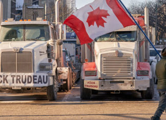 Por que o movimento “Freedom Comvoy” está provocando enorme histeria nas “Elites”?