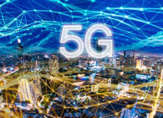 Cientistas alertam que radiação 5G está matando animais e a vida selvagem