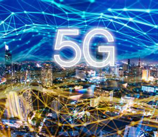 Cientistas alertam que radiação 5G está matando animais e a vida selvagem