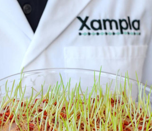 Xampla criou o primeiro material proteico vegetal do mundo para substituir o plástico comum