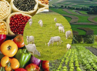 Brasil é um dos poucos países que se beneficiará com a guerra na Ucrânia