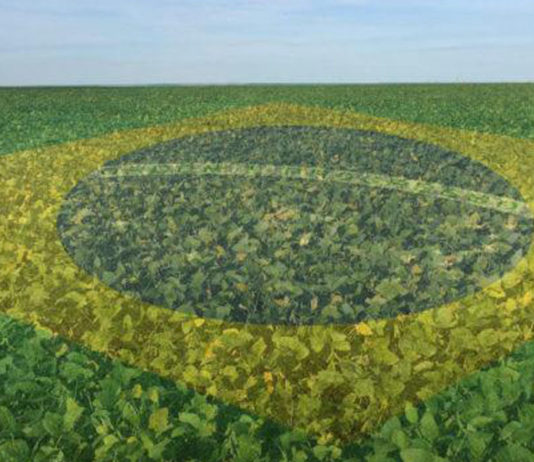 Como o Brasil está salvando o mundo de uma crise alimentar catastrófica