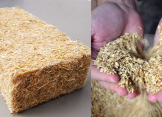 Projeto Ricehouse constrói casas com palha a casca de arroz