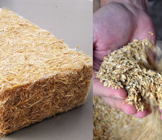 Projeto Ricehouse constrói casas com palha a casca de arroz