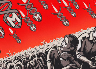 Alimentos orgânicos – Você sabia que a Rússia é um país livre de transgênicos?