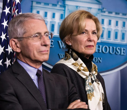 Deborah Birx admite que ela e Anthony Fauci inventaram “a ciência” sobre distanciamento social e lockdown