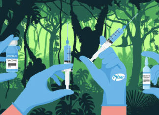 A “varíola dos macacos” está circulando apenas em países onde a “vacina” da Pfizer foi distribuída