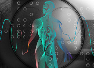 Colonização dos corpos: A patente WO 060606 da Microsoft visa “controlar a atividade do corpo humano”