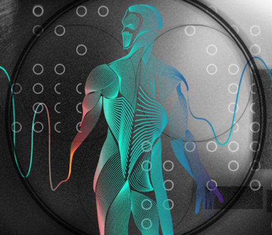 Colonização dos corpos: A patente WO 060606 da Microsoft visa “controlar a atividade do corpo humano”