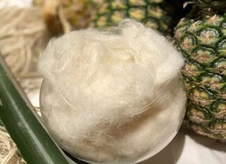 Ananas Anam lança o fio Piñayarn, feito a partir de resíduos de folhas de abacaxi