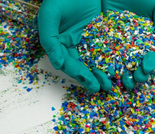 Protein Evolution transforma resíduos plásticos e têxteis sintéticos em novos recursos