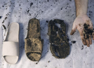 Balena lança slides de plástico compostável e biodegradável